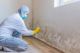 Environmental Consulting for Mold Prevention in Carolina Shores, NC