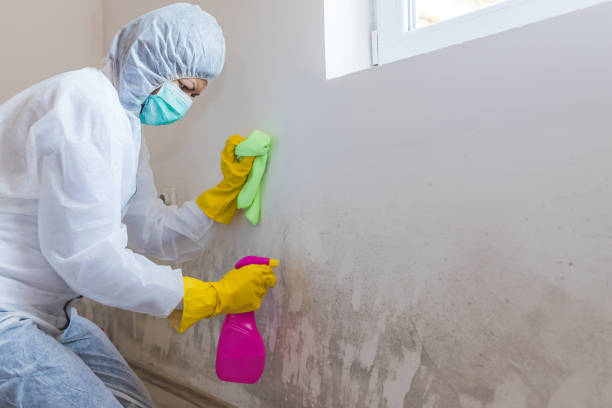 Best Residential Mold Inspection & Testing  in Carolina Shores, NC